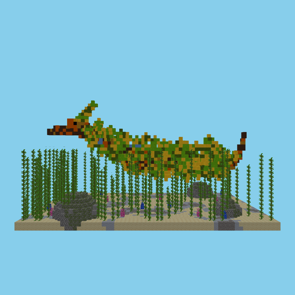 Leafy sea dragon (indexed) side view