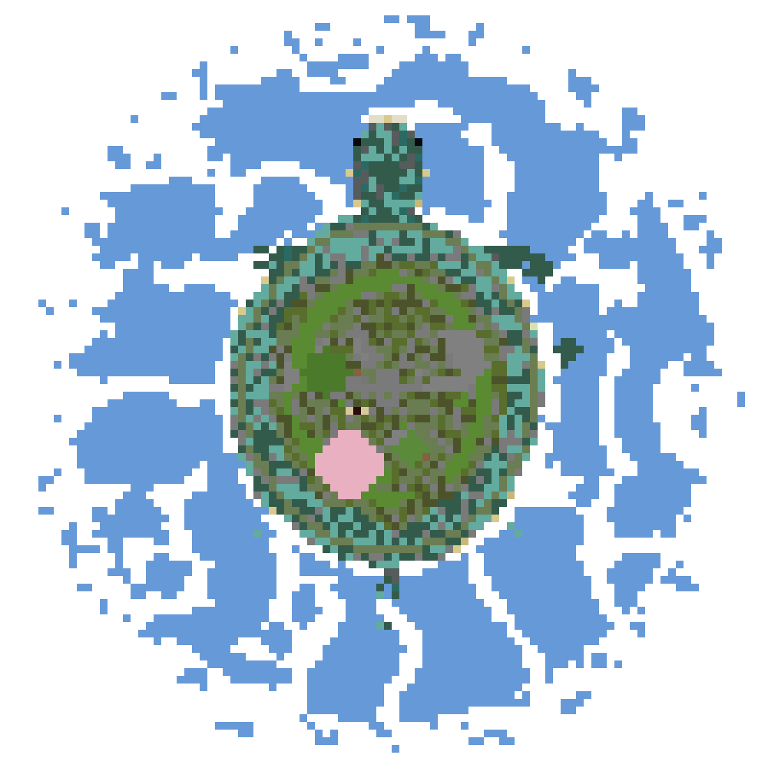 The World Turtle v2 top view