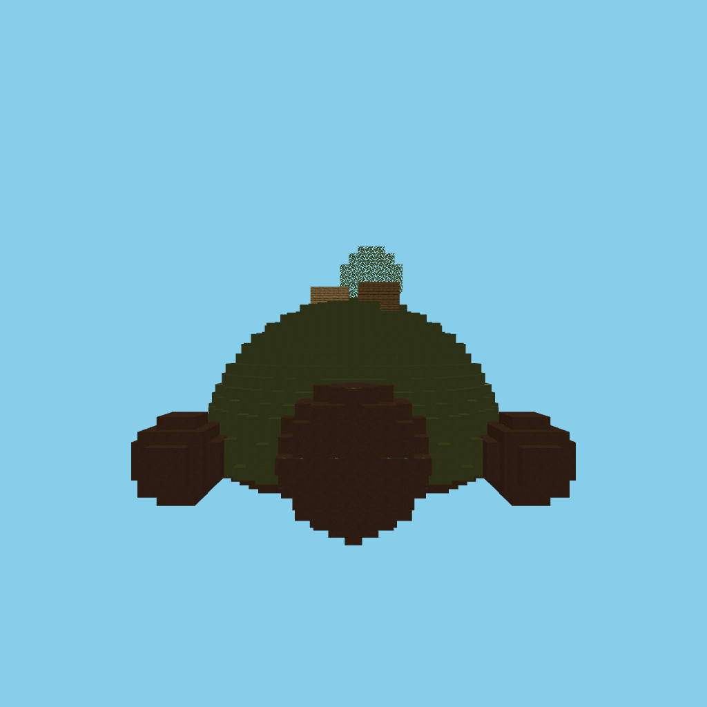 sea turtle bare front view