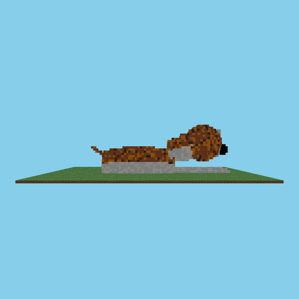 Bartolito the puppy side view