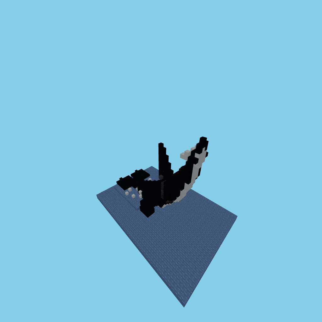 Breaching orca (guided)