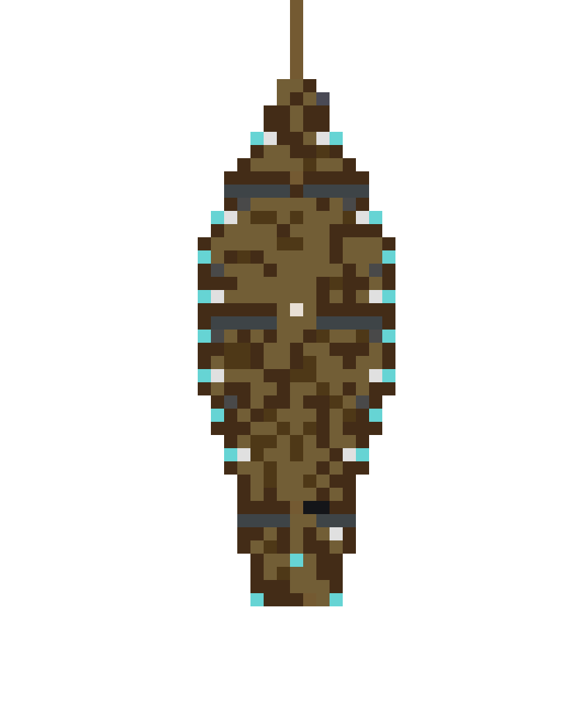 The Phantom of the Void (Phase 1) top view