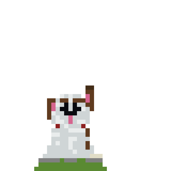 Puppy front view