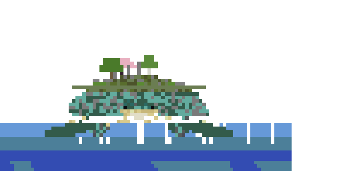 The World Turtle front view