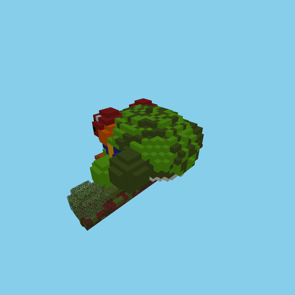 Red-eyed Tree Frog (guided, eyes fixed)