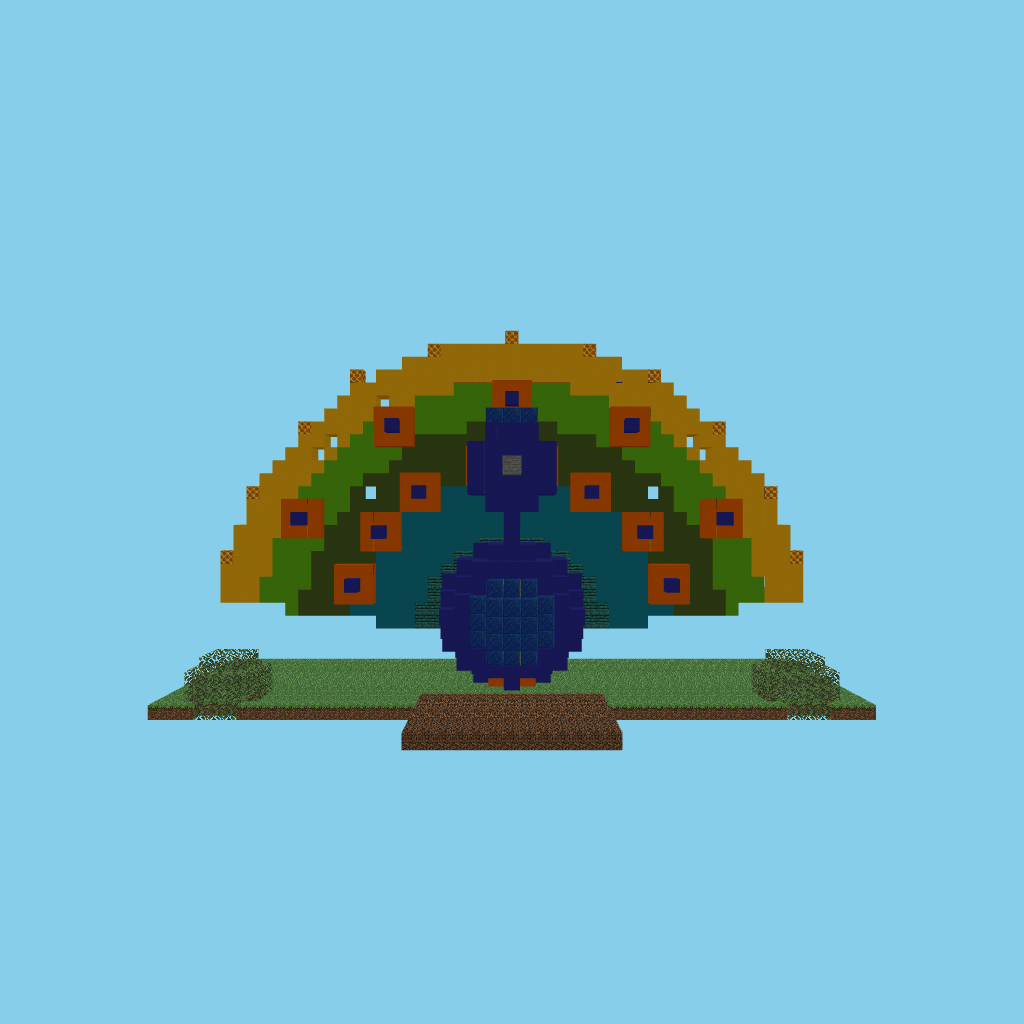 Peacock display (guided) front view