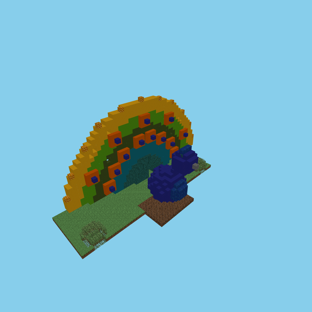 Peacock display (guided)