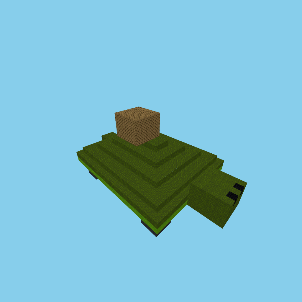 turtle_bare_071054