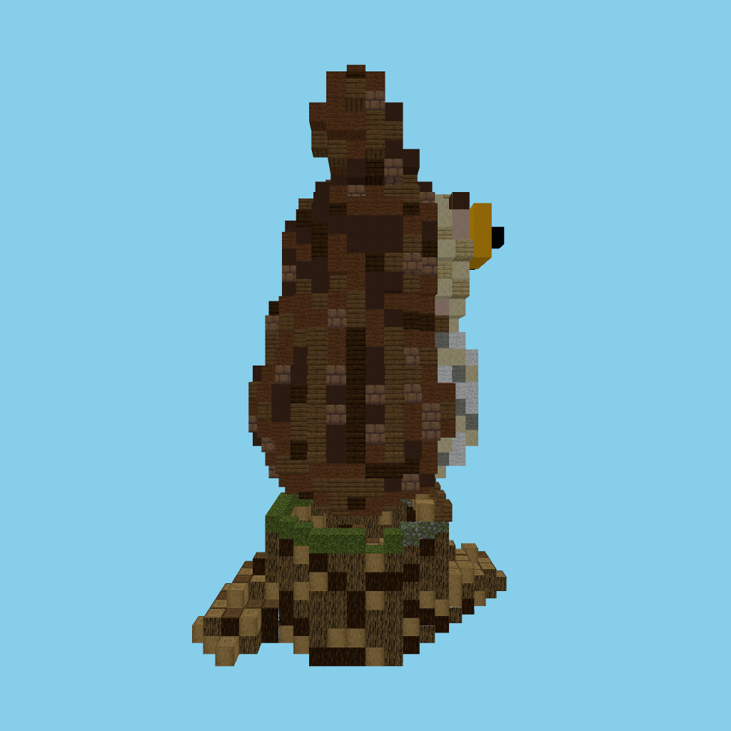 Profile (eye + beak)