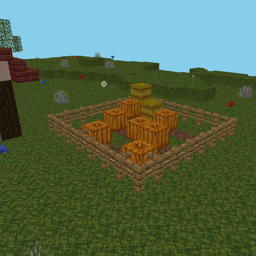 Pumpkin garden