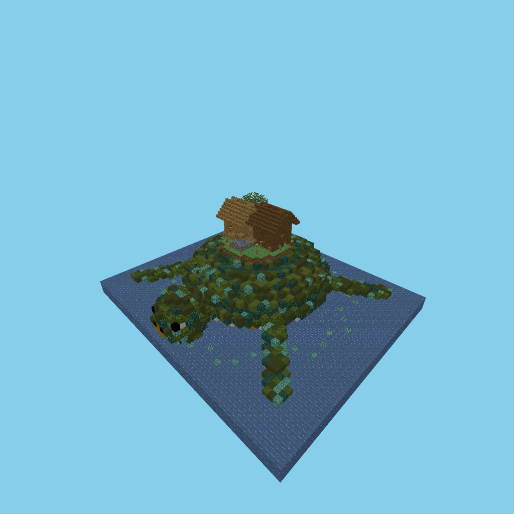 Sea turtle island